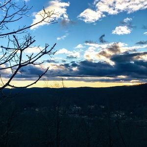 Meet your Posher, Goldy